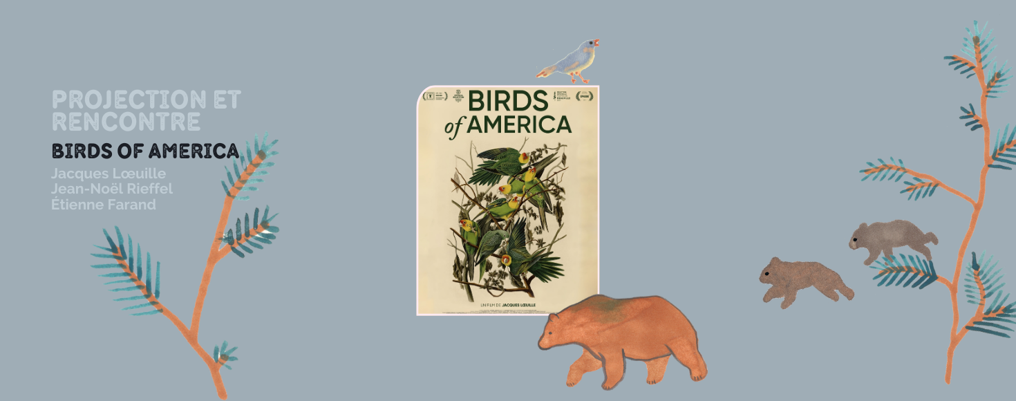 Birds of America - reprojection