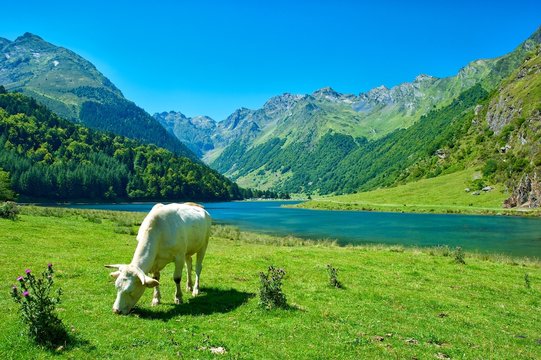 Ateliers d'écriture de l'été