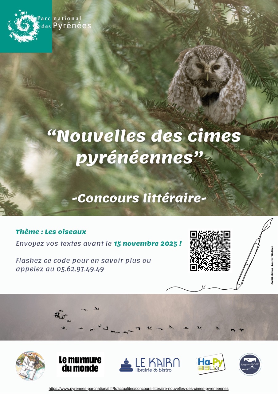 Affiche Concours de nouvelles 2026